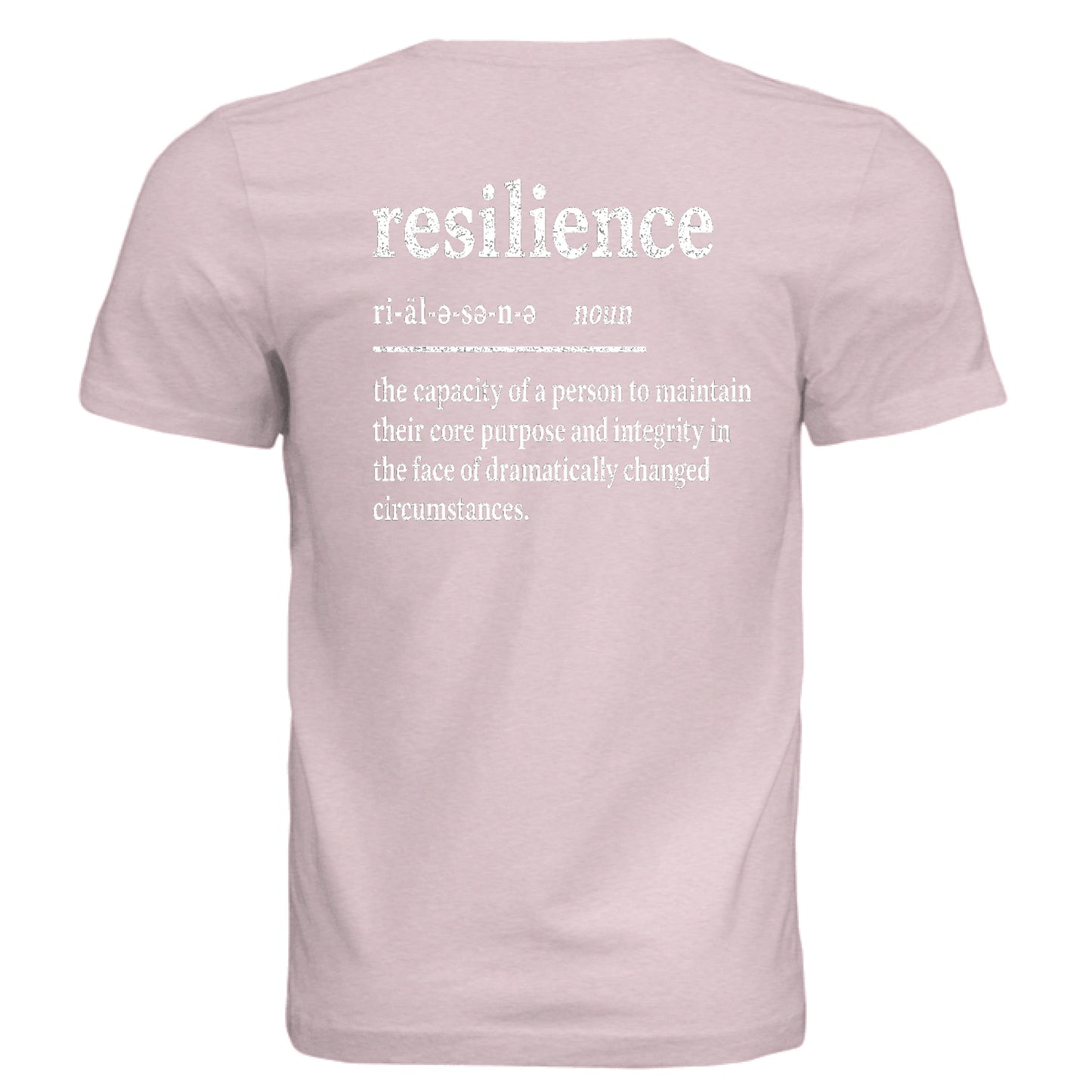 Pink Triblend - BACK