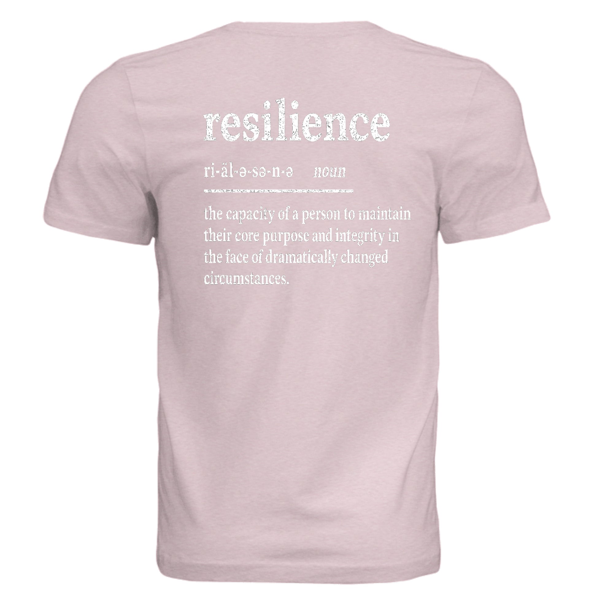 Pink Triblend - BACK