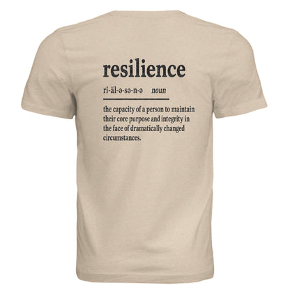 Sand Dune Triblend - BACK